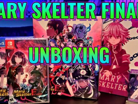Mary Skelter Finale Switch